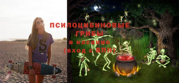 сатива Алзамай